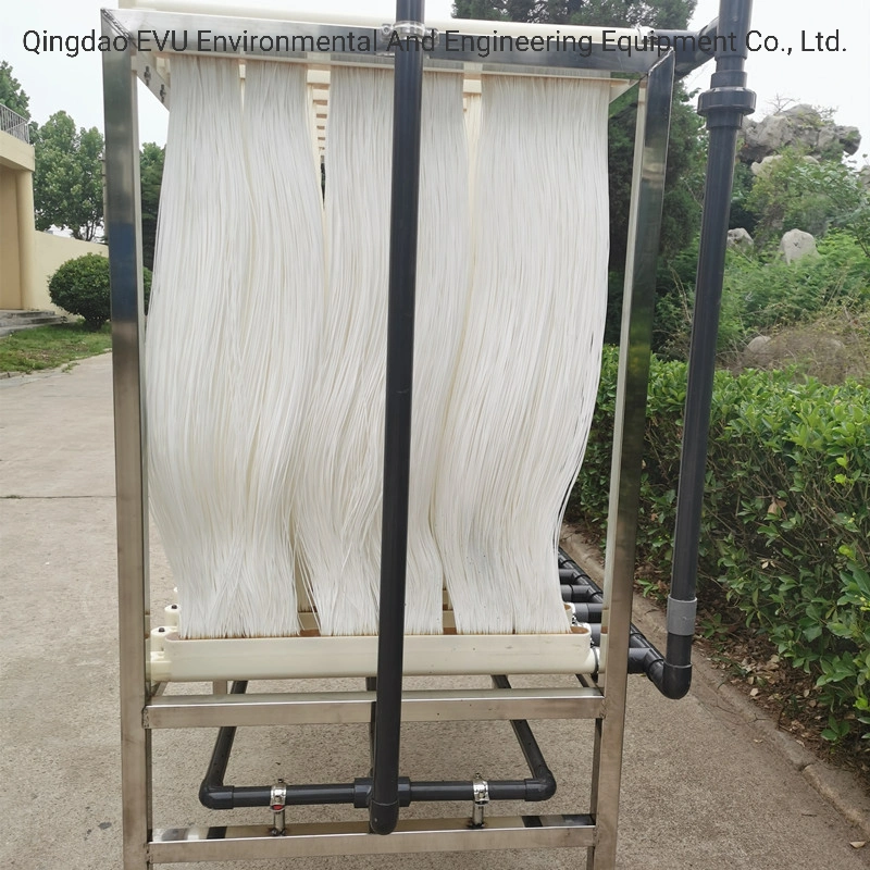 High-Quality Hollow Fiber UF Membrane Mbr for Wastewater Treatment Plant /Equipment